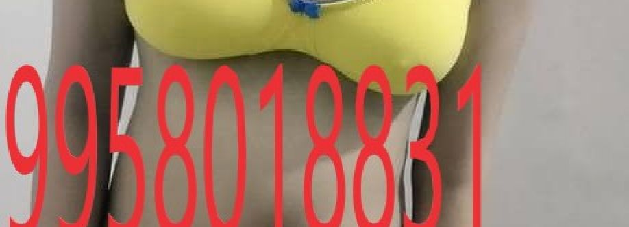 CALL GIRLS IN DELHI NCR Cover Image