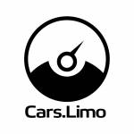 Car Service Profile Picture