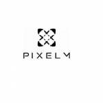 Pixel Mechanics Pte Ltd Profile Picture