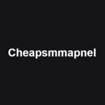 CHEAPSMM PANEL Profile Picture