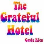 The Grateful Hotel Profile Picture