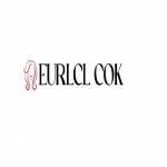 Eurl Clic Ok Profile Picture