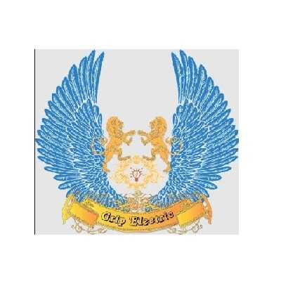 Grip electric limited Profile Picture