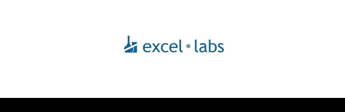 Excel Labs Cover Image