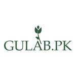 Gulab PK Profile Picture