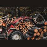 Tree Removal Companies Profile Picture