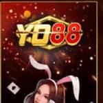 yo88 e Profile Picture