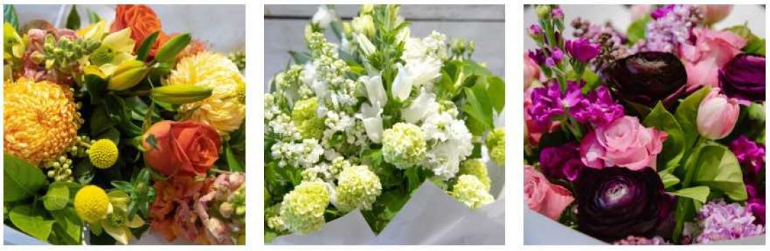 Blossoms Of Blackburn Cover Image