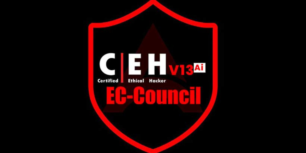 Explore Cybersecurity with the Best Hacking Course in Pune