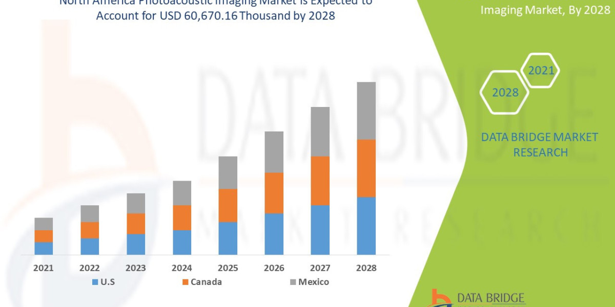 North America Photoacoustic Imaging Market Future Insights and Forecast Projections 2028