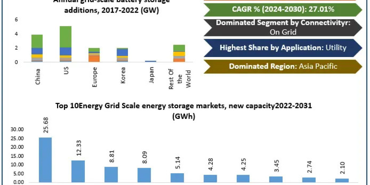 Battery Energy Storage System Market Insights, Outlook, and Forecast | 2025–2032
