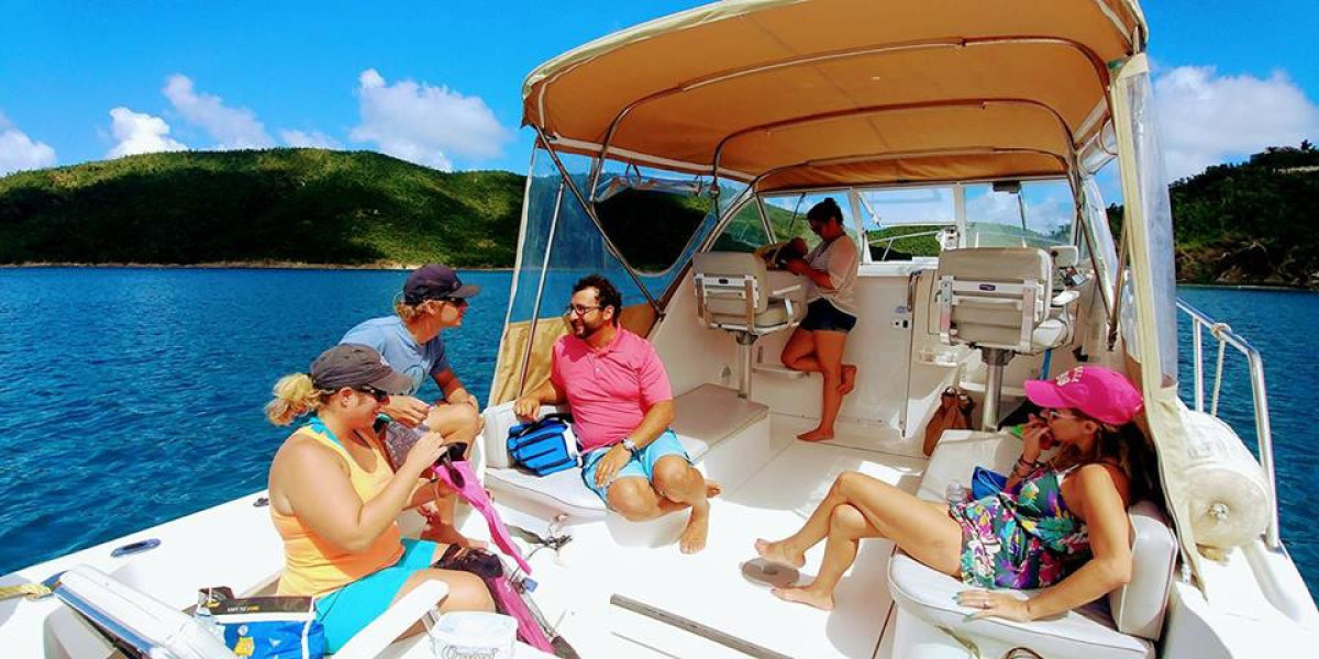 Virgin Islands Surfing - Island Buddy