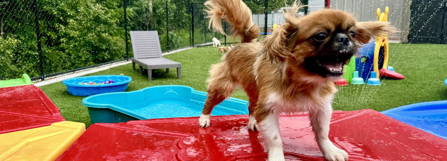 Pet Play Place Cover Image