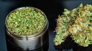 weed delivery Profile Picture