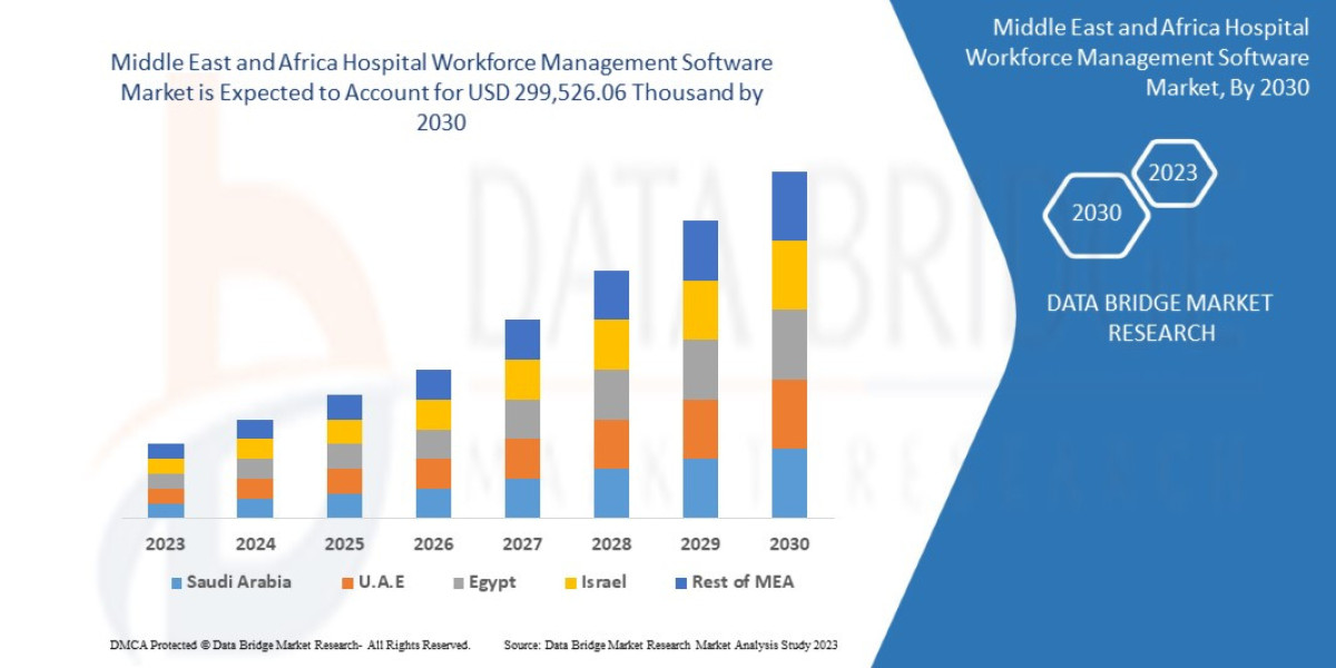 Middle East and Africa Hospital Workforce Management Software Market Production, Demand, and Business Projections 2030