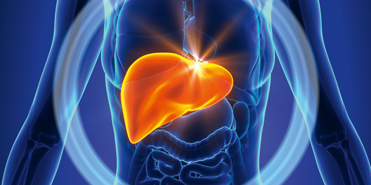 Regional Analysis of Liver Cancer Therapeutics Market Opportunities and Challenges