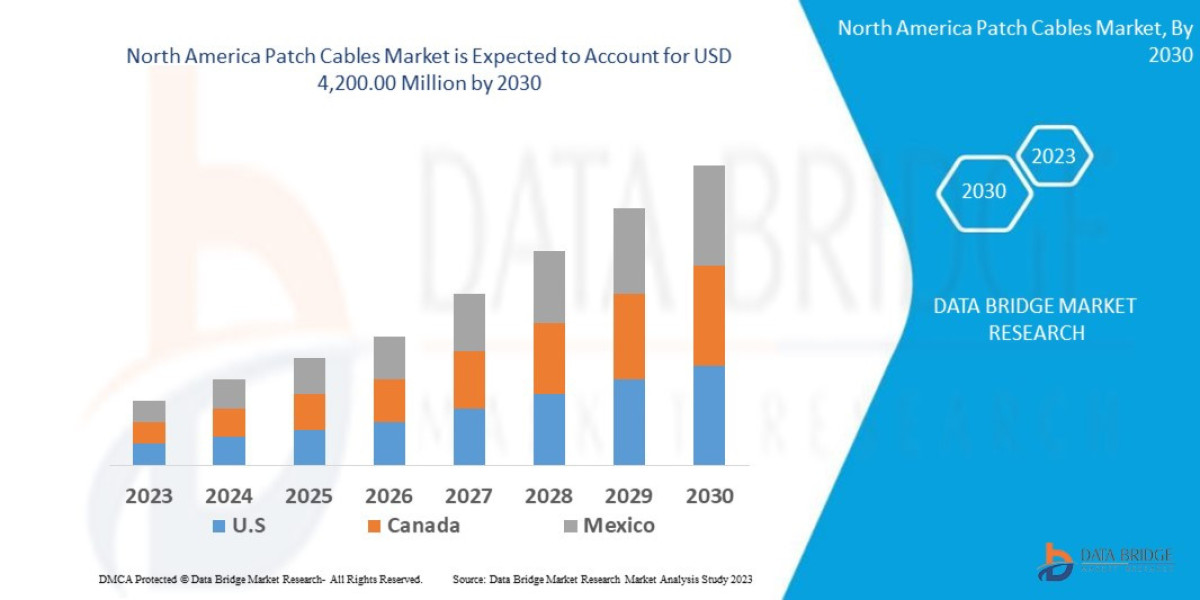 North America Patch Cables Market Production, Demand, and Business Projections 2030