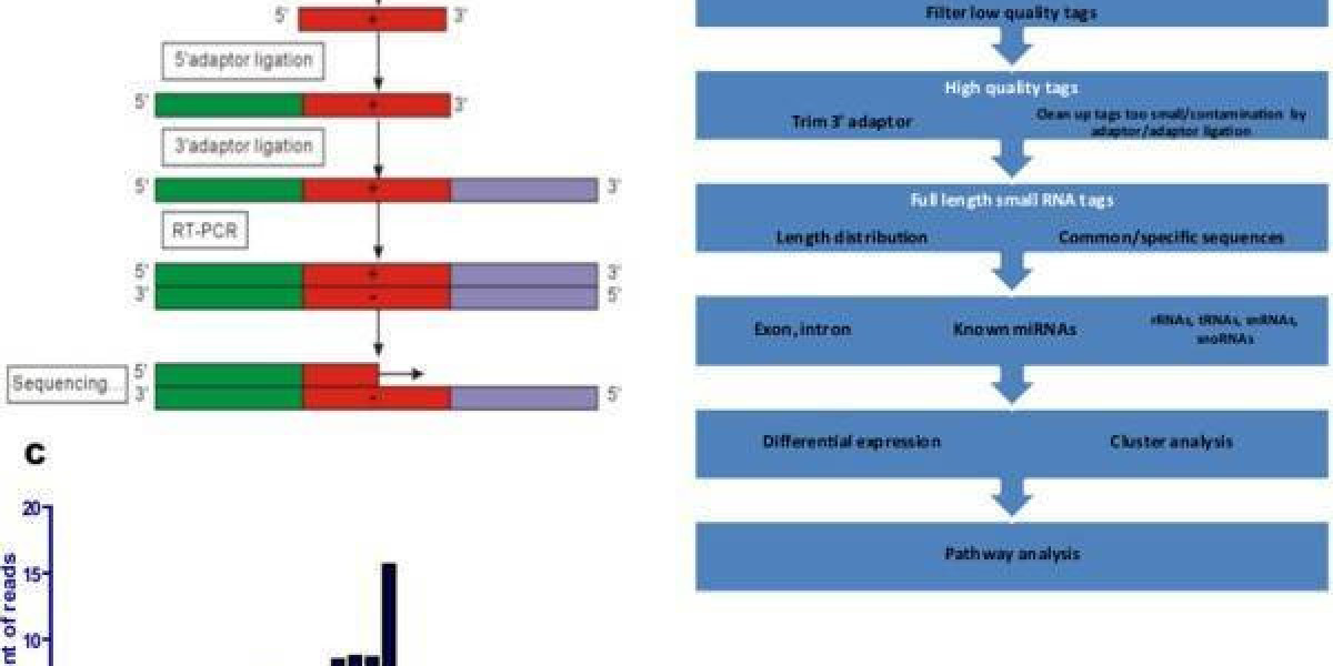 Introduction, Workflow, and Applications of Small RNA Sequencing