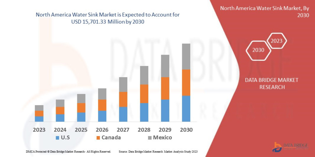 North America Water Sink Market Production, Demand, and Business Projections 2030