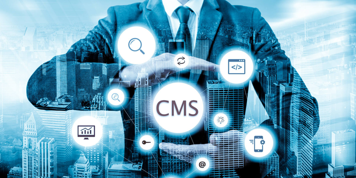 Why a CMS software solutions provider Matters