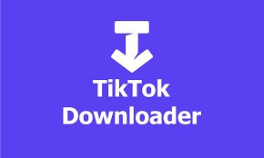ssstikok and Tiktok video Downloader Profile Picture