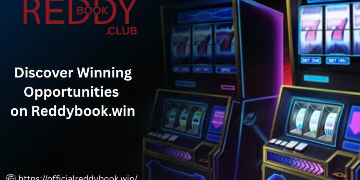 Discover Winning Opportunities on Reddybook.win