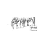 Bodegas Xulia Bande Profile Picture