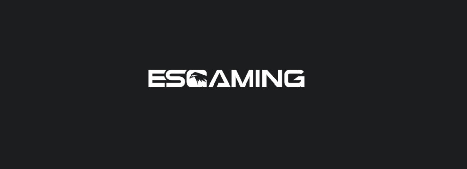 Esgaming Cover Image