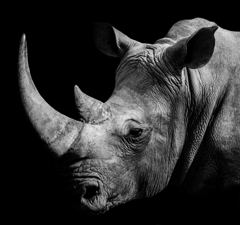 Biodiversity Data & Solutions | Biodiversity Impact Assessment Tool