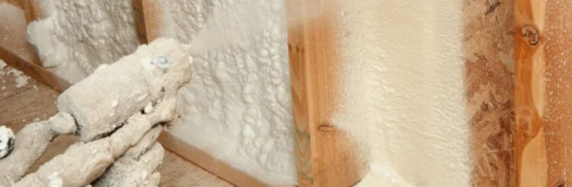 Des Moines Insulation Cover Image