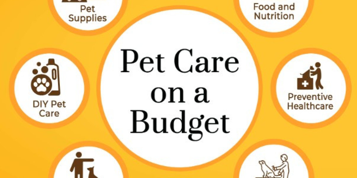 Animal Hospital in Surrey & Langley, BC | Veterinary Hospital