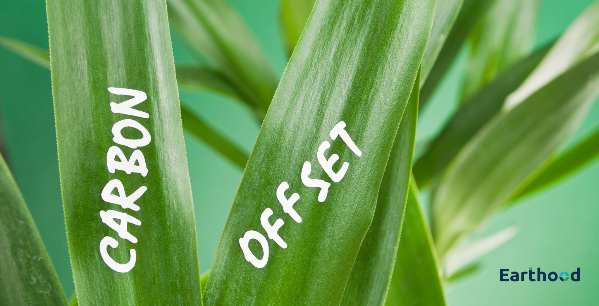 Carbon Offsetting Services​ - Earthood