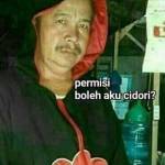 adelia fahranty Profile Picture
