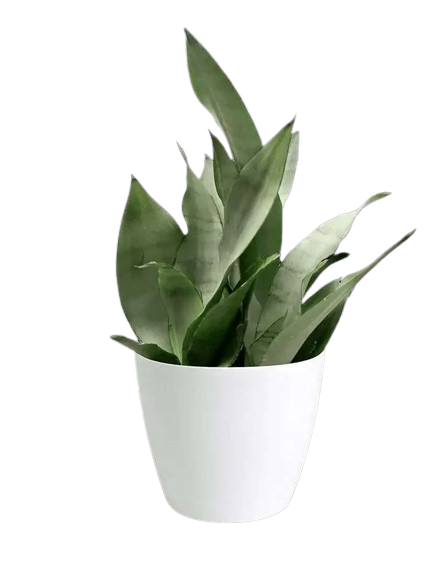 Stay at the Best Bhimtal Hotels for a Peaceful Mountain Getaway