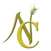 Nature Creation Profile Picture