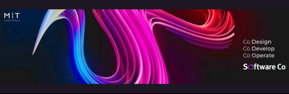 Software Co Cover Image