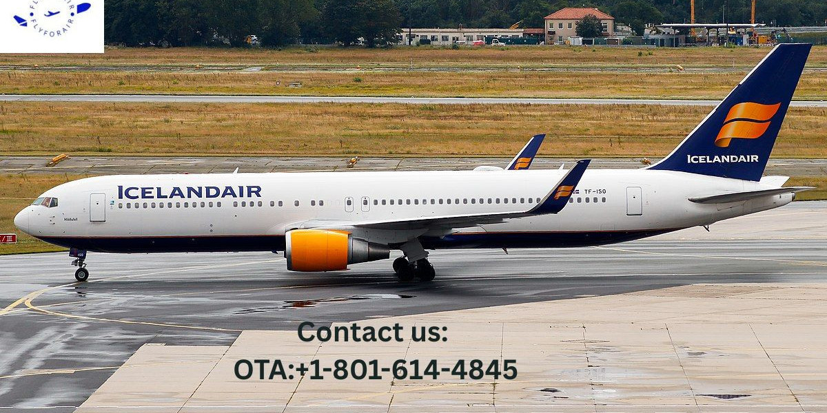 Looking for Iceland air chat? Find Here Hassle-Free!