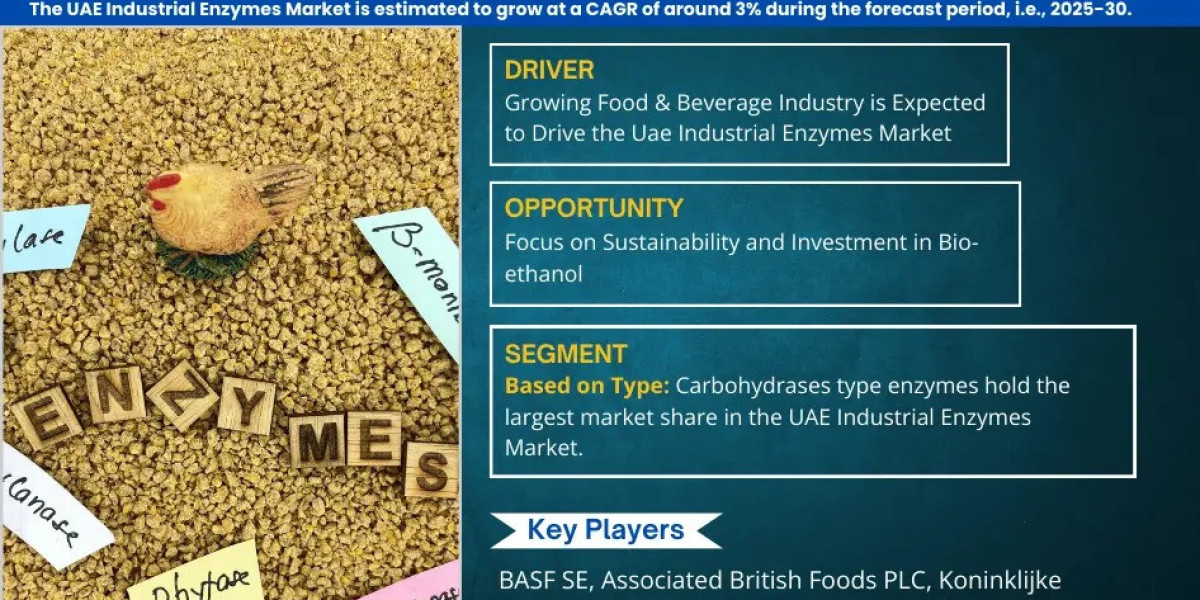 UAE Industrial Enzymes Market Forecast 2030: Key Players & Emerging Trends