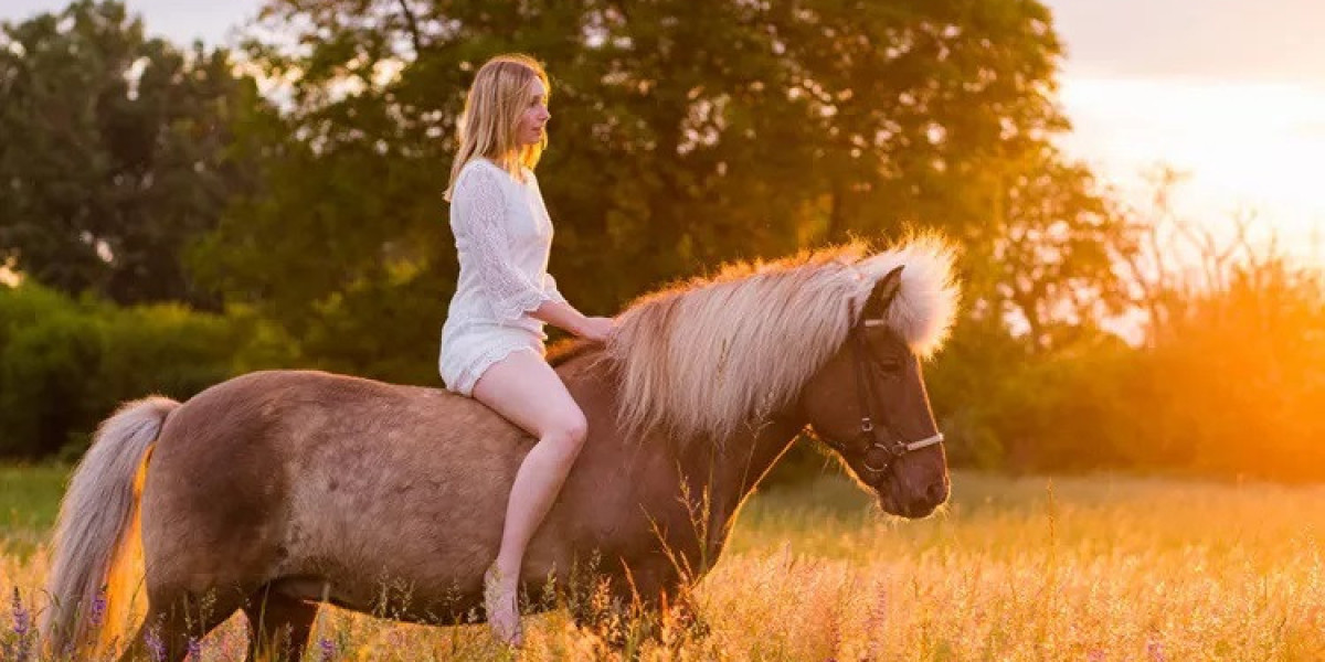 60 Horse Quotes for Freedom, Energy, and Endurance