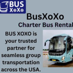 BusXoXo Service Profile Picture