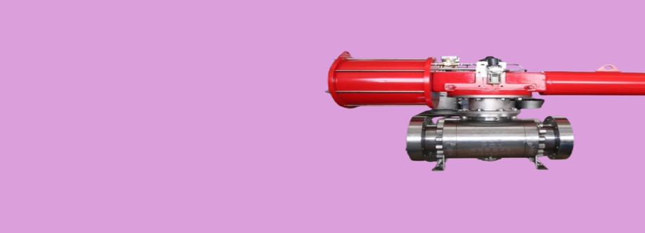 Speciality Valve Cover Image