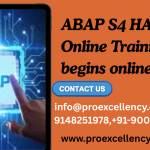 proexcellency Solutions Profile Picture