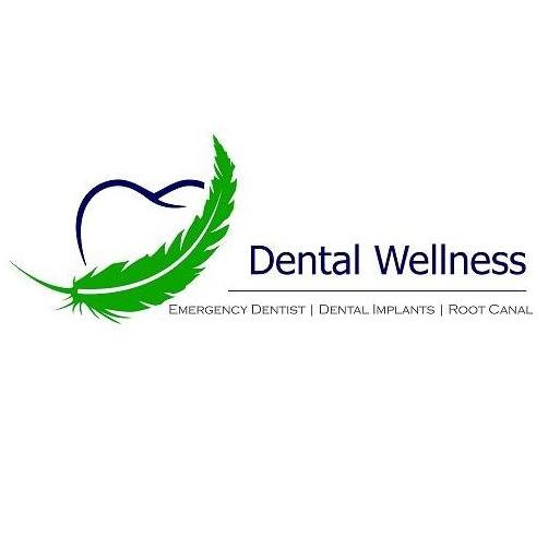 Dr. Nidhi Dental Wellness Profile Picture