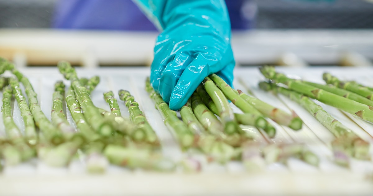 HACCP Certification in India | Food Safety Certification - SGS