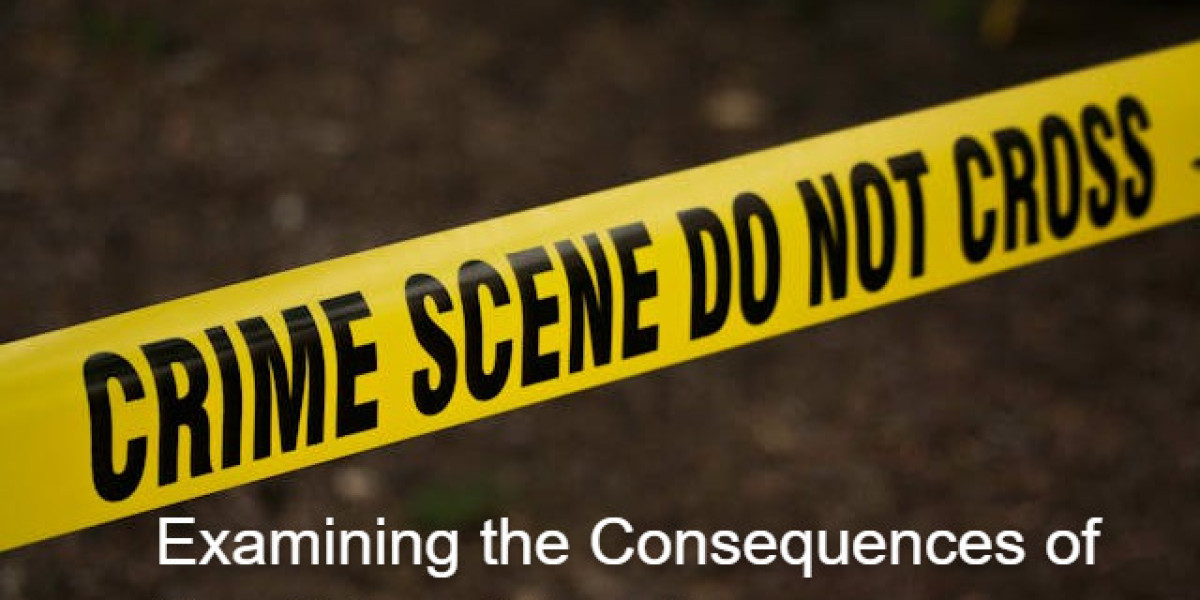 Examining the Consequences of Sex Crime Allegations