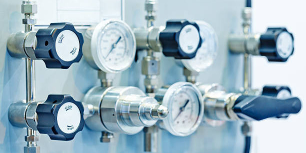 What Is the Role of Diaphragm Pressure Gauges in Steam Applications?