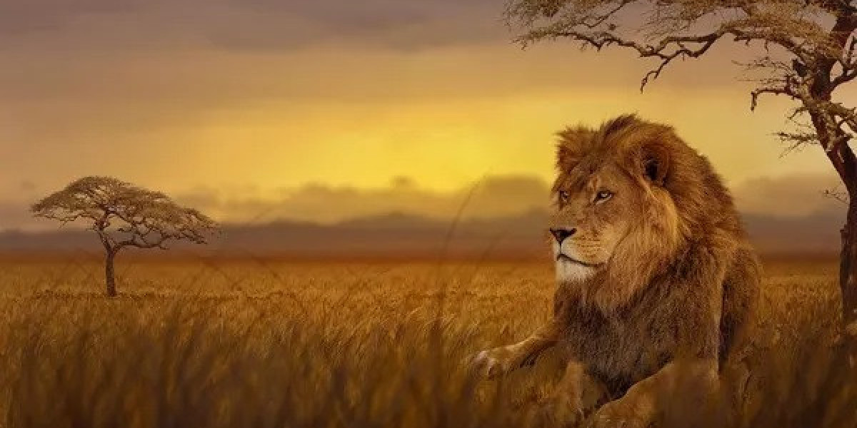 100 Lion Quotes That Inspire Courage and Strength