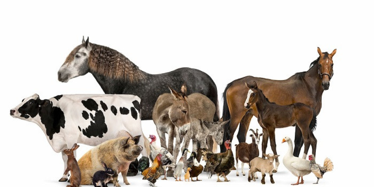 70 Meaningful Animal Quotes That Teach Us to Live Mindfully