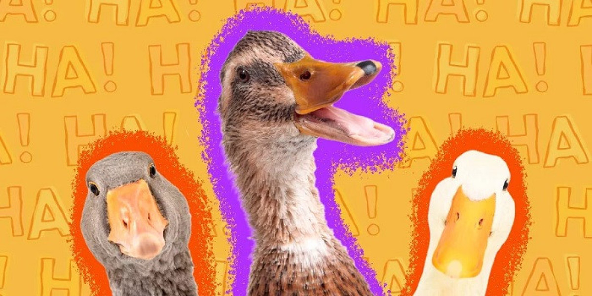 80 Duck Jokes That Are Clean, Fun, and Funny