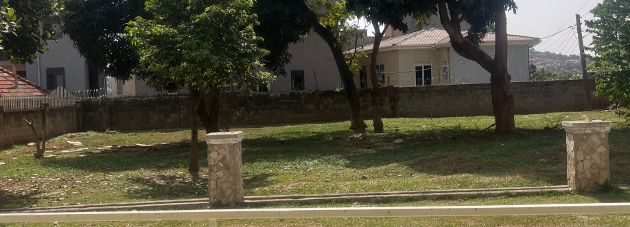 Timothy Ddax Cover Image